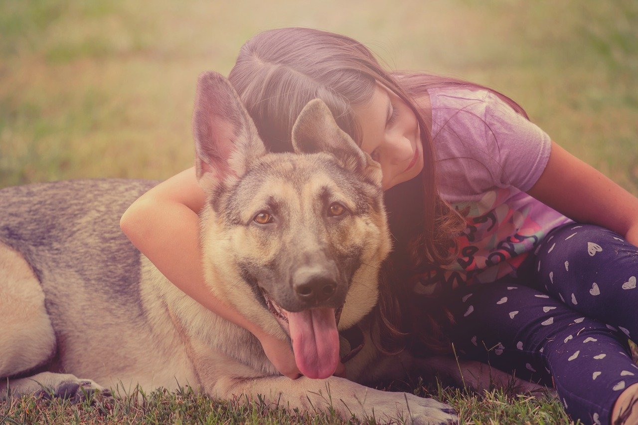 When Kids Beg for a Pet—6 Things to Consider Before You Cave in