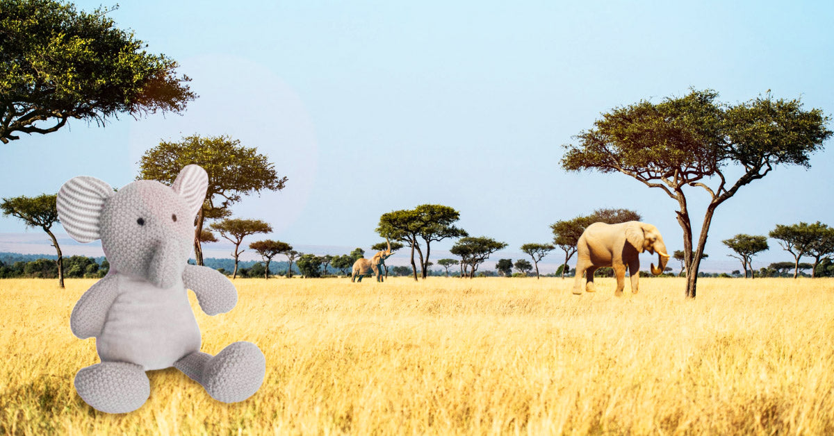 Win an adorable Elephant Plush Pal this February – Wild Baby Giveaway