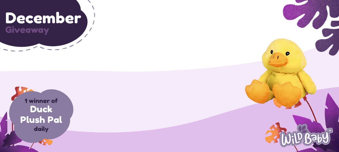 Win an adorable Duck Plush Pal this December – Wild Baby Giveaway